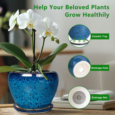 Ceramicfor planter with saucer keeps surfaces clean and organized