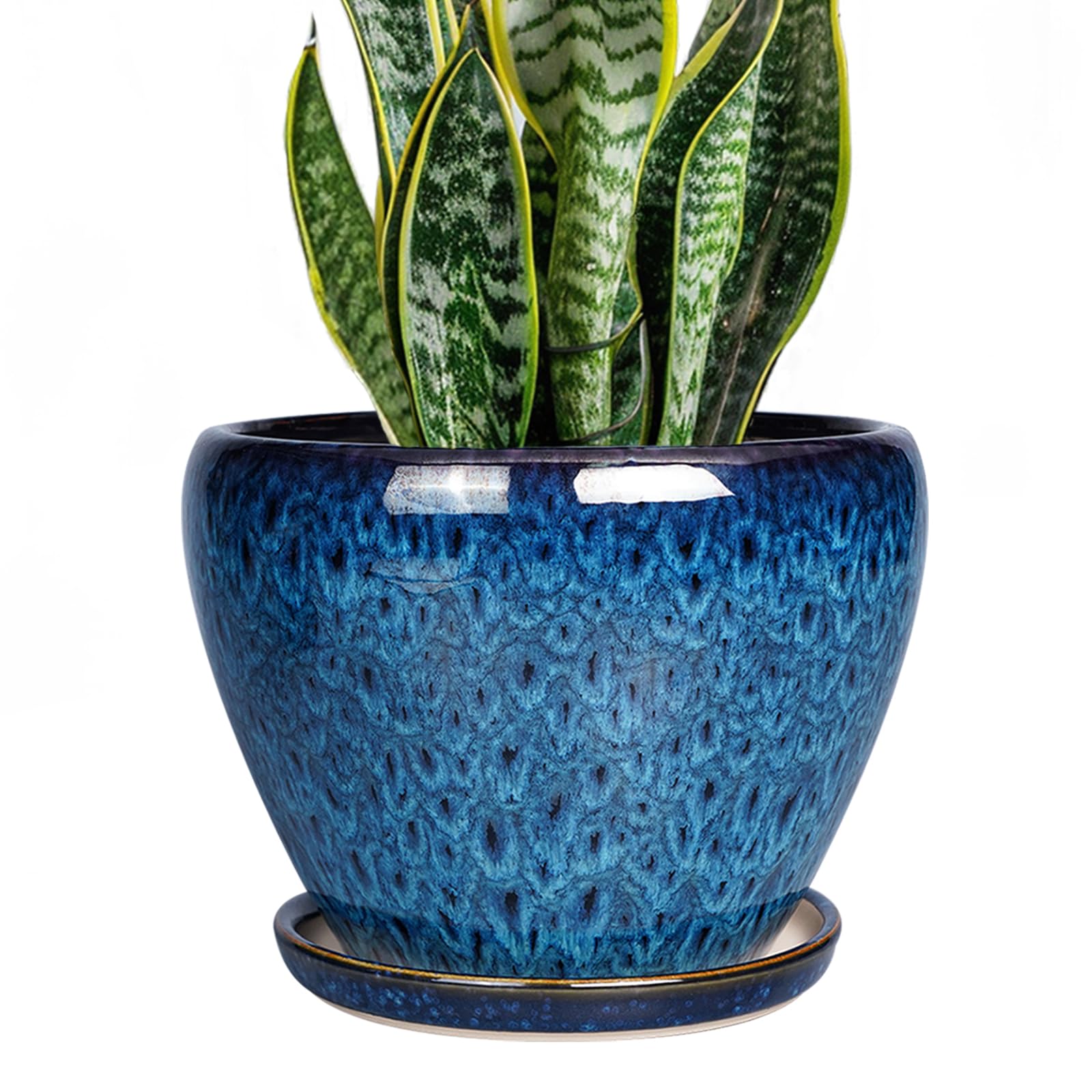 Ceramicfor 8 inch blue plant pot with drainage for healthy indoor plants.