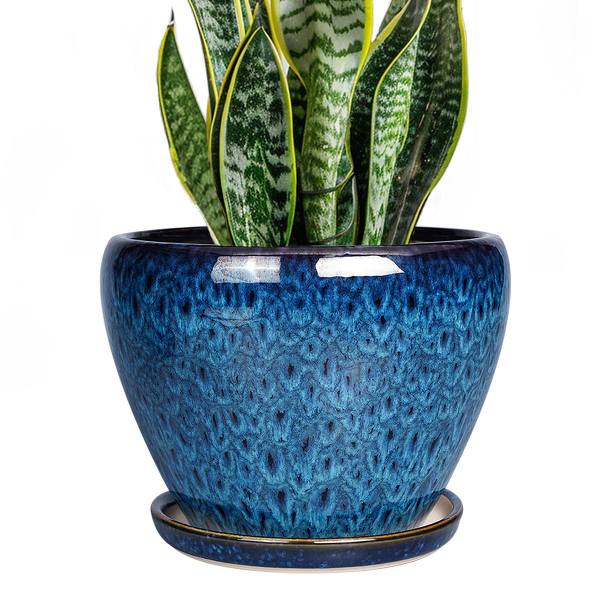 Ceramicfor 8 inch blue plant pot with drainage for healthy indoor plants.