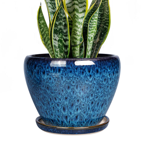 Ceramicfor 8 inch blue plant pot with drainage for healthy indoor plants.