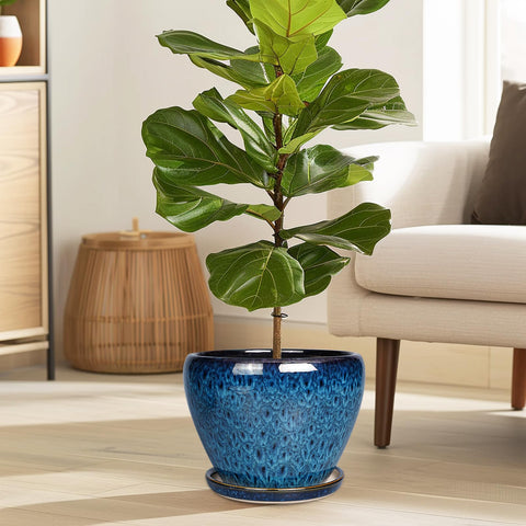 Blue glazed planter with saucer for clean indoor and outdoor spaces.