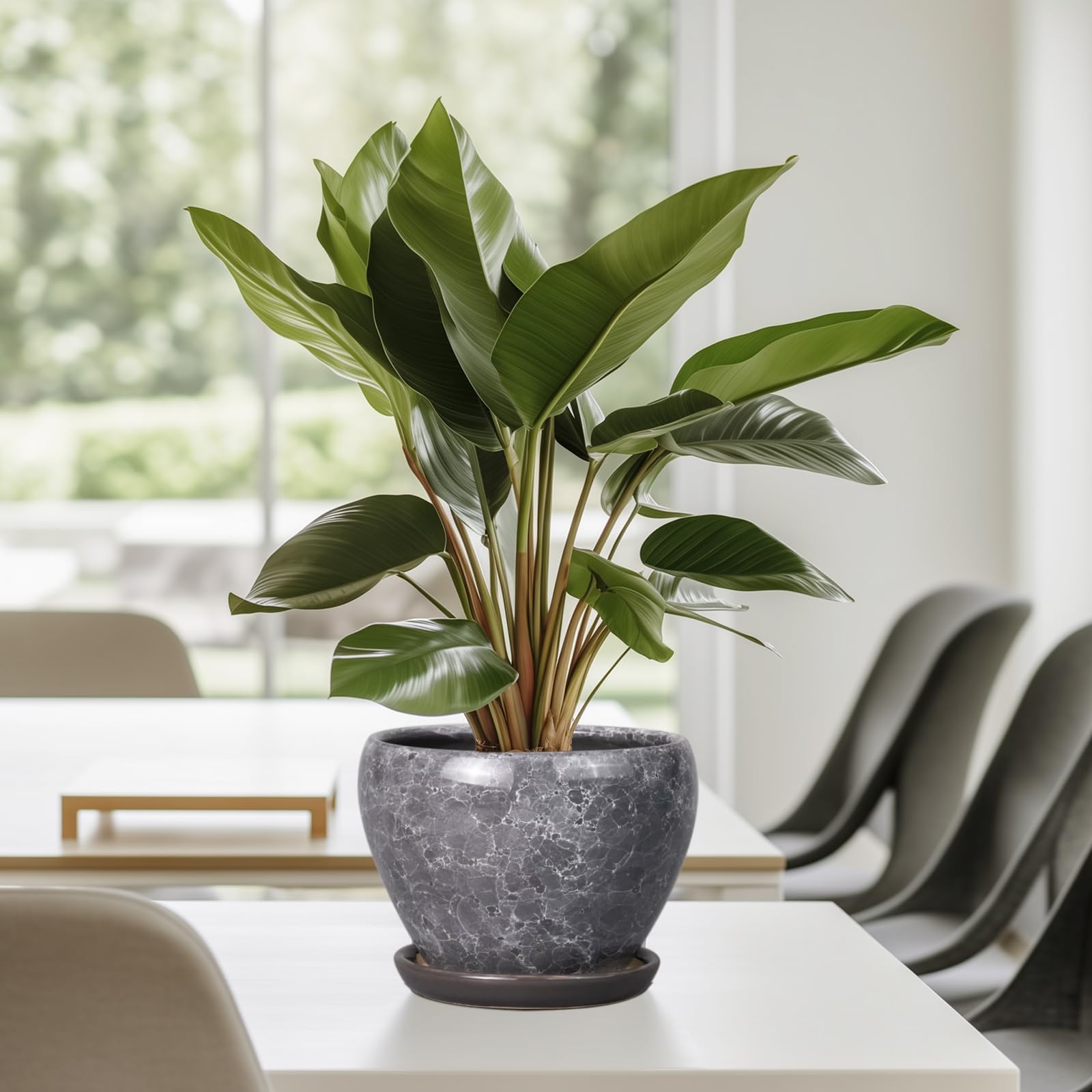 Ceramicfor bonsai round planter with glaze suits patios.