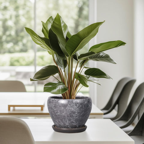 Ceramicfor bonsai round planter with glaze suits patios.