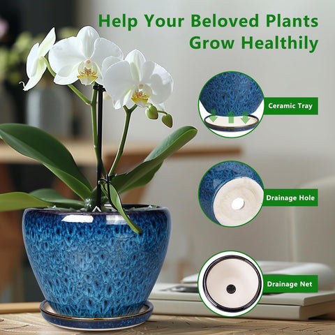 Drainage hole planter in Ceramicfor blue for proper watering.