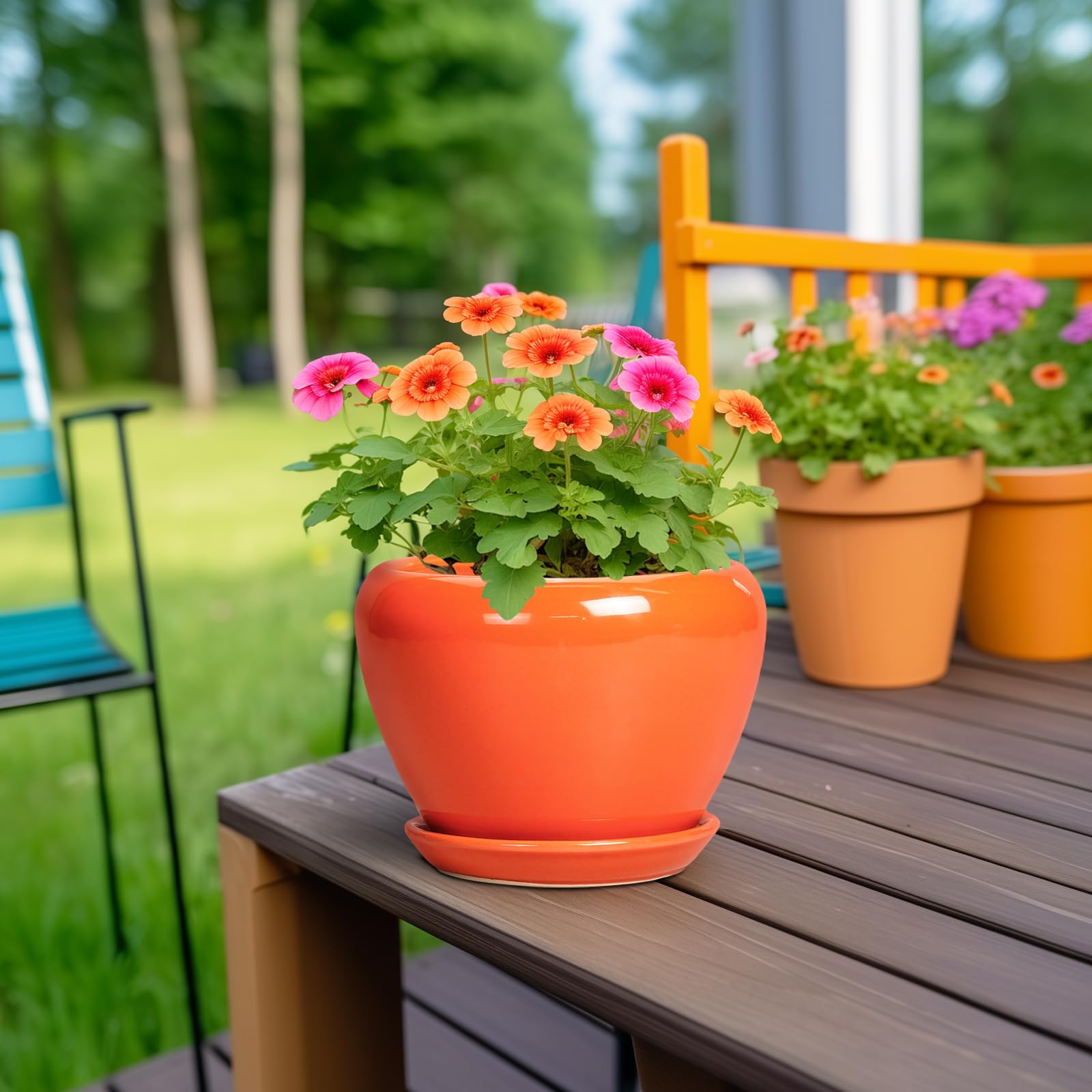 Ceramicfor drainage-hole pot aids water management for healthy roots.