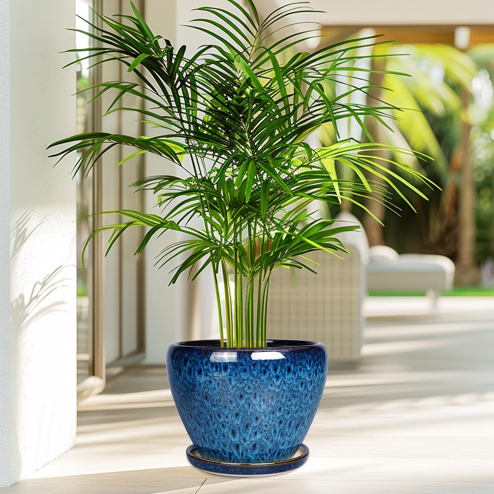 Gift ready blue ceramic pot from Ceramicfor for plant lovers.
