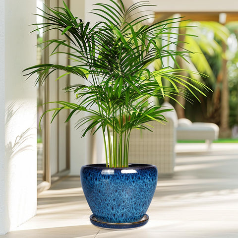 Gift ready blue ceramic pot from Ceramicfor for plant lovers.