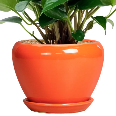 Ceramicfor orange 6-inch pot for indoor plants with durable stoneware.
