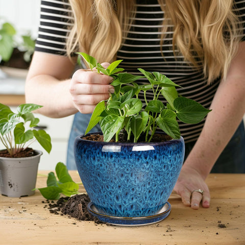 Outdoor ready blue planter on the patio with drainage.