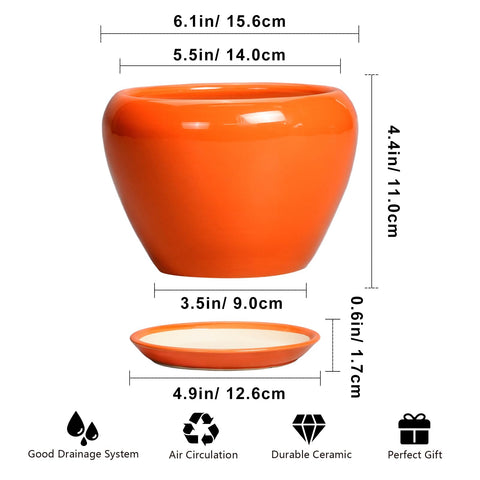 Ceramicfor pot with saucer keeps surfaces clean and dry.