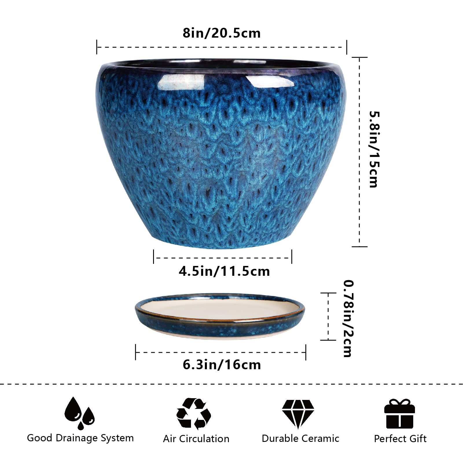 Round blue plant pot on a table for living rooms.