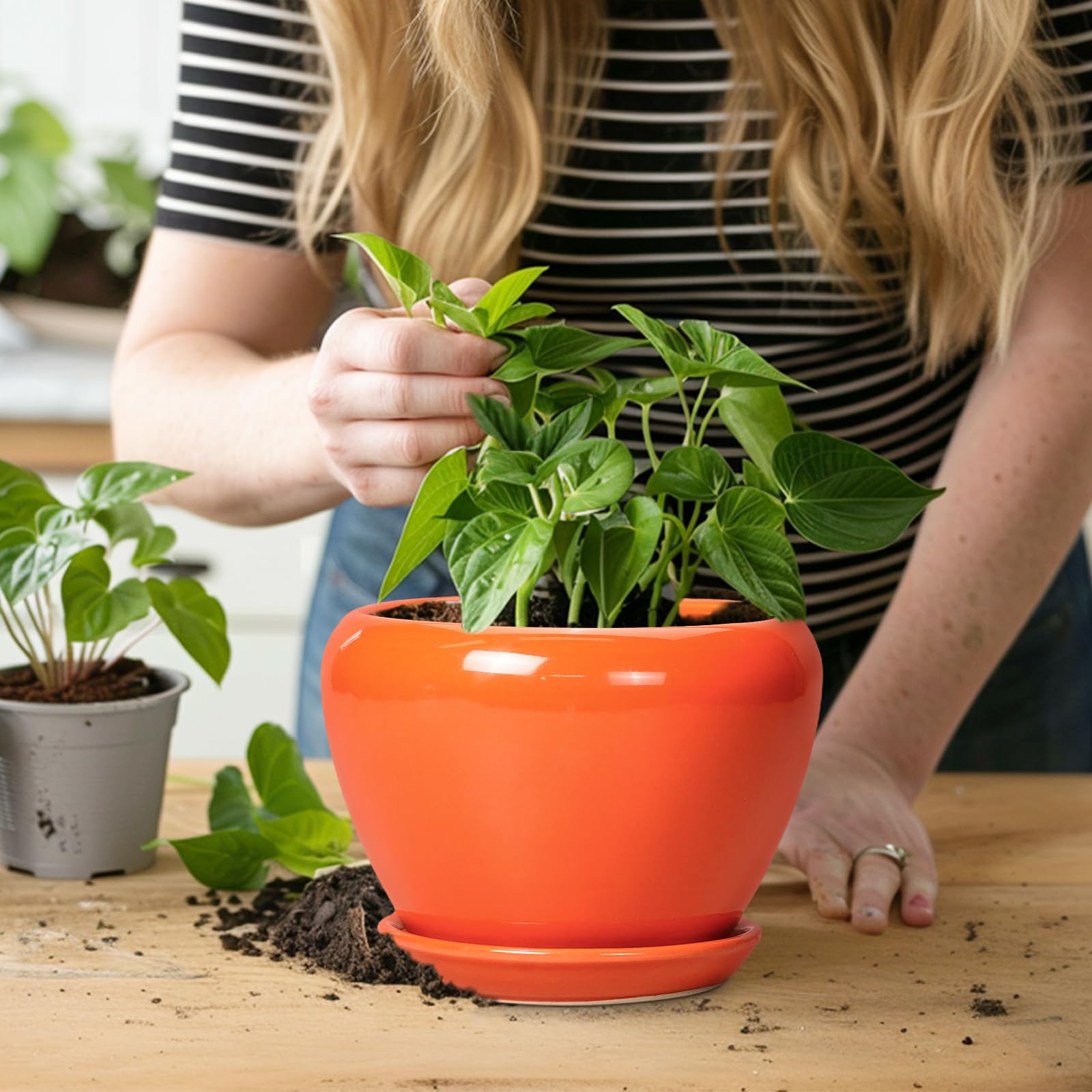 Ceramicfor stoneware pot ideal for patios and garden corners.