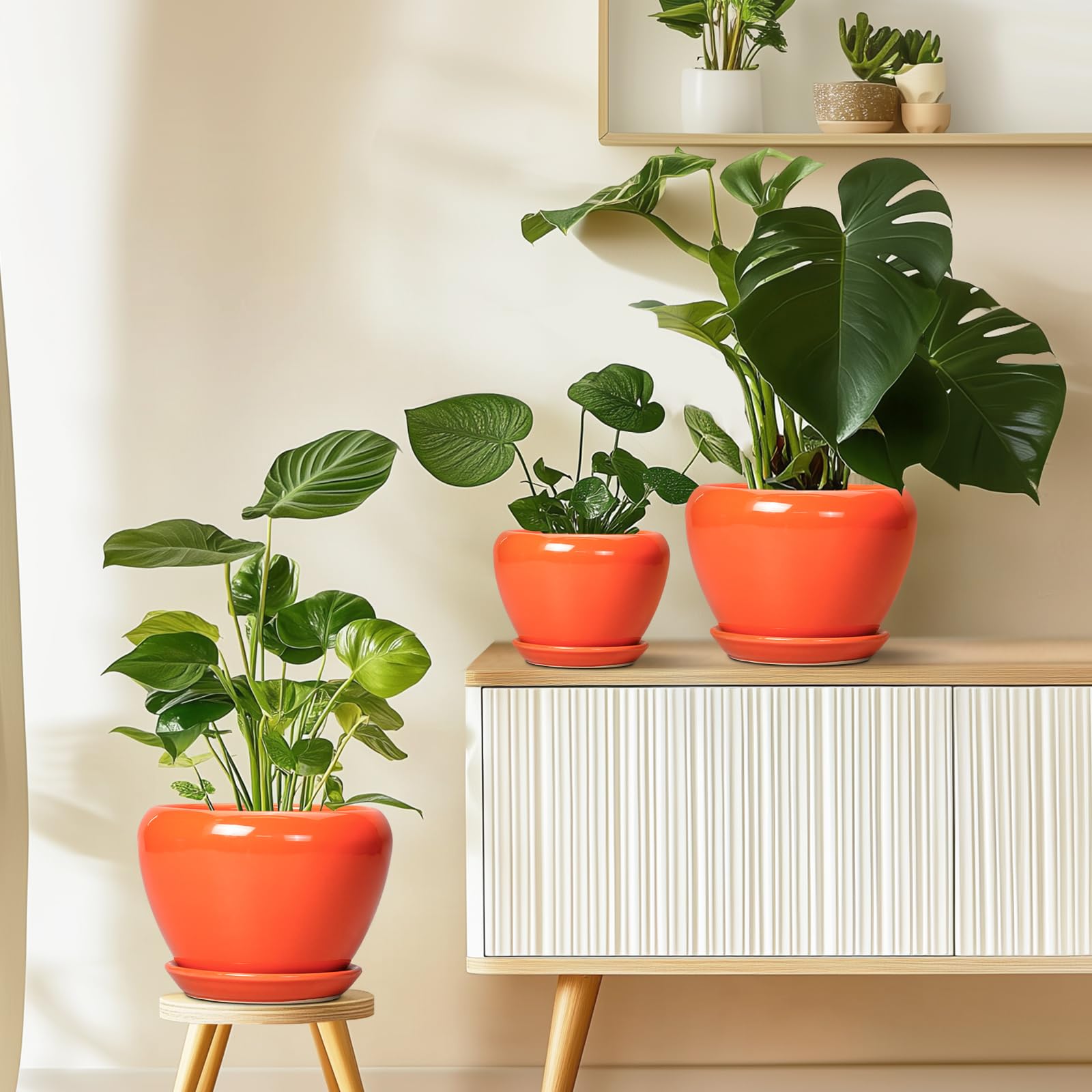 Ceramicfor plant pot on a desk adds color while supporting greenery.
