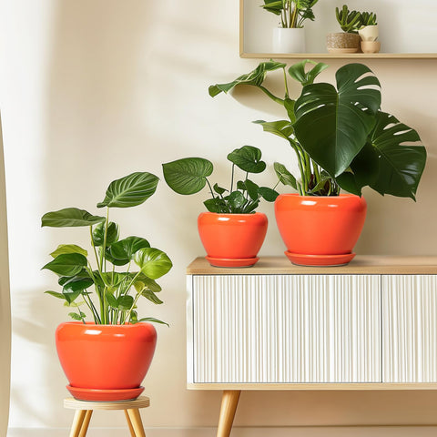 Ceramicfor plant pot on a desk adds color while supporting greenery.