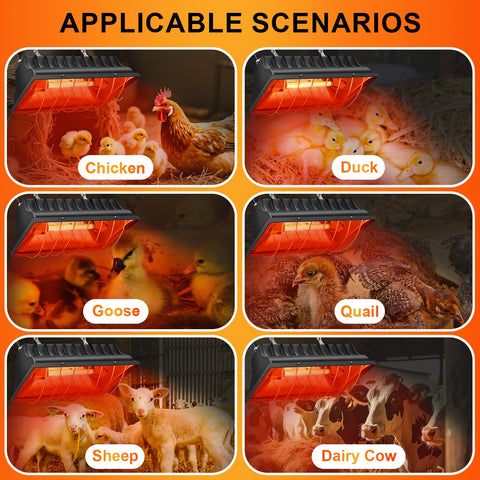 CERISURIO broad heating area keeps brooders evenly warm.