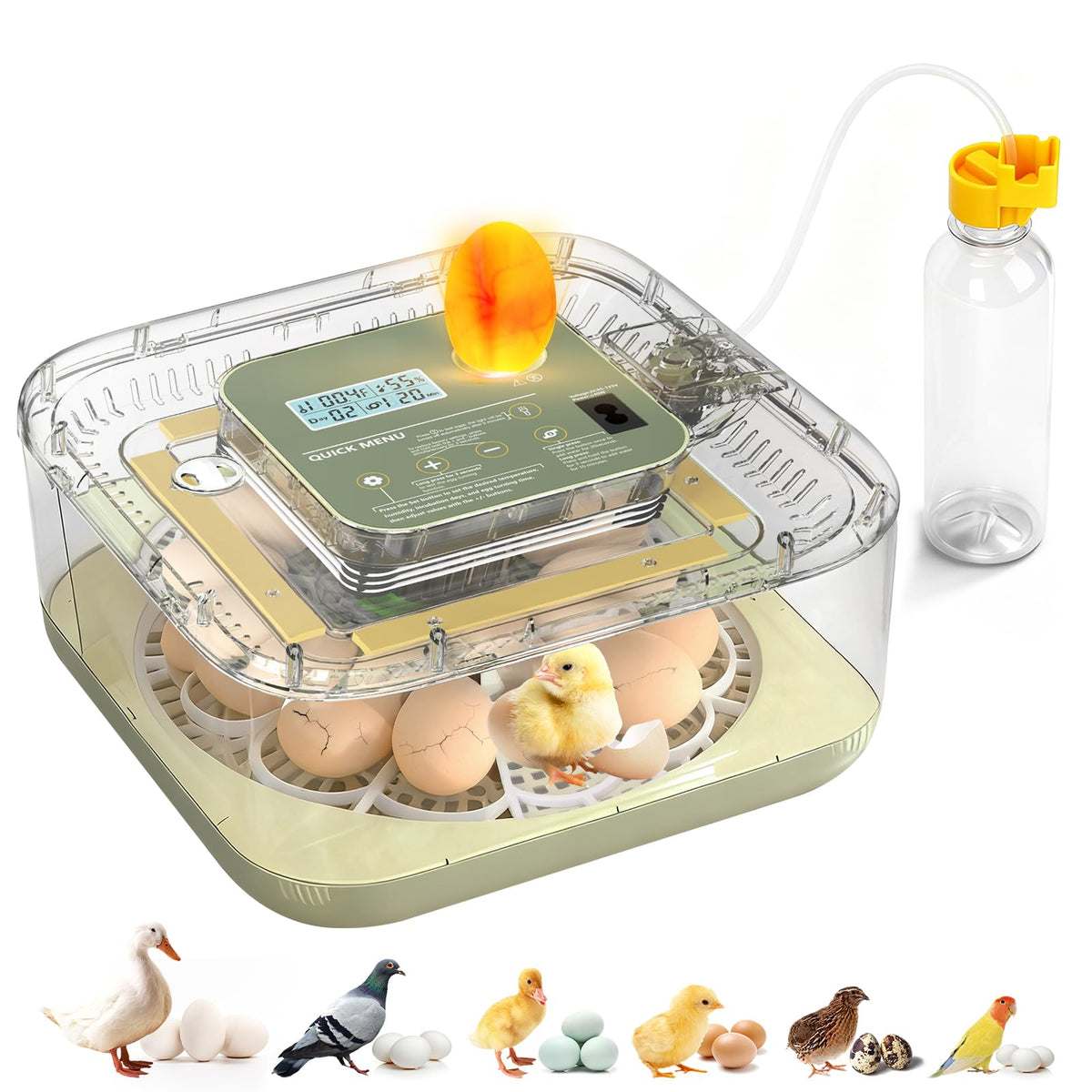CERULIAN fully automatic incubator front view for a compact home hatch setup for beginners