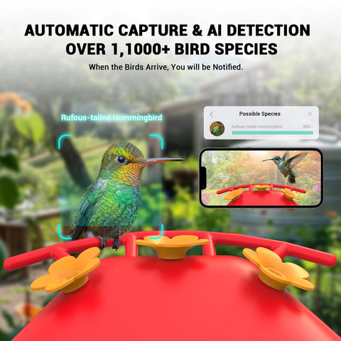 Cetie AI-ID view demonstrates species recognition for informed backyard birdwatching.
