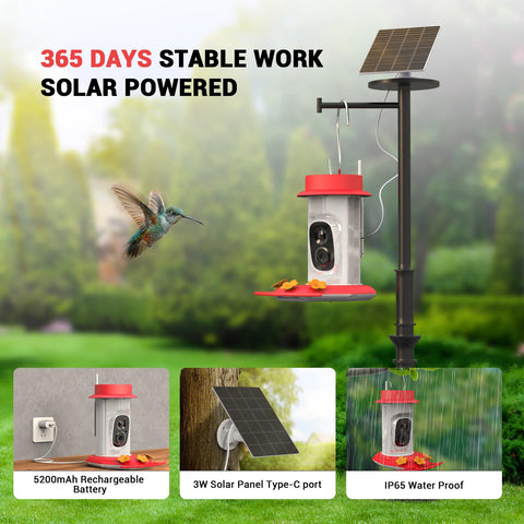 Cetie solar-panel view shows reliable outdoor power in sunny conditions.