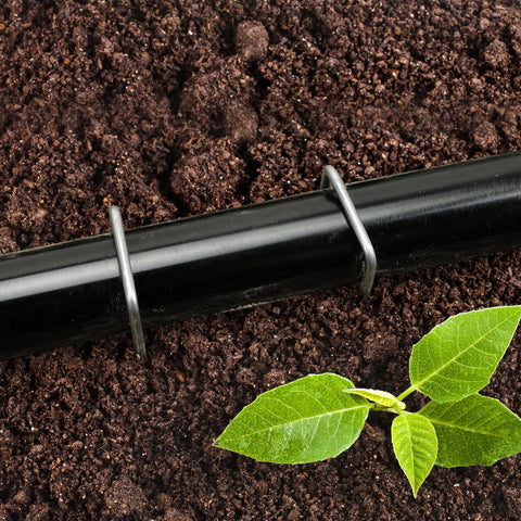 CEWOR durable packaging keeps 500 stakes organized for quick restocks.