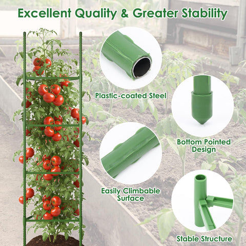 CEWOR easy-installation tomato trellis enables tool-free setup