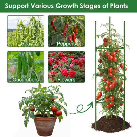 CEWOR outdoor-garden-tomato-trellis-setup fits pots and raised beds.