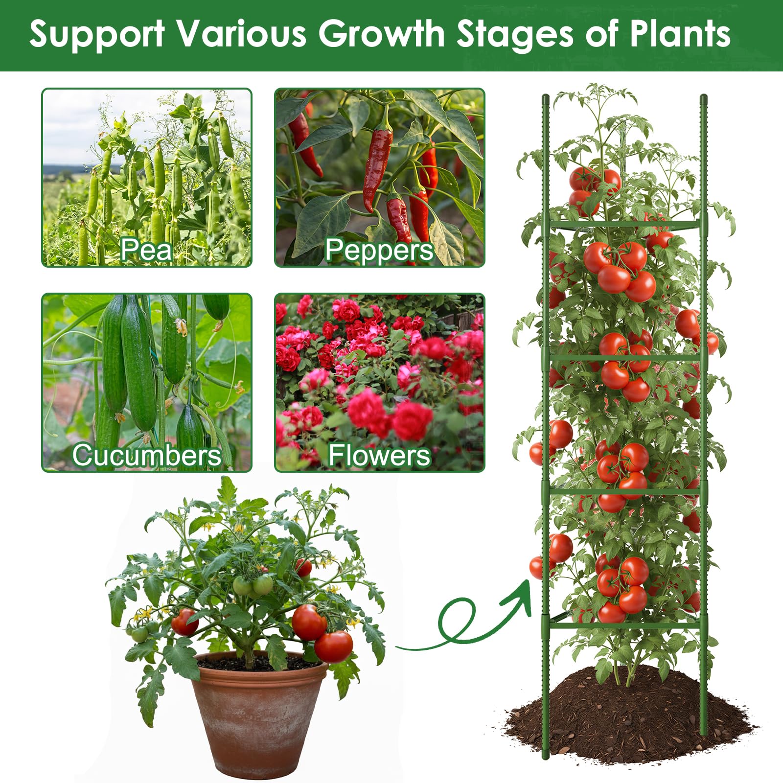 CEWOR raised bed garden use with tomato support