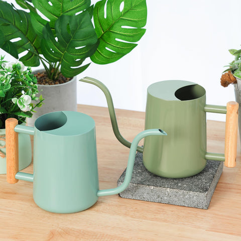 CEWOR Sage Green waterer combines decoration and function in any room