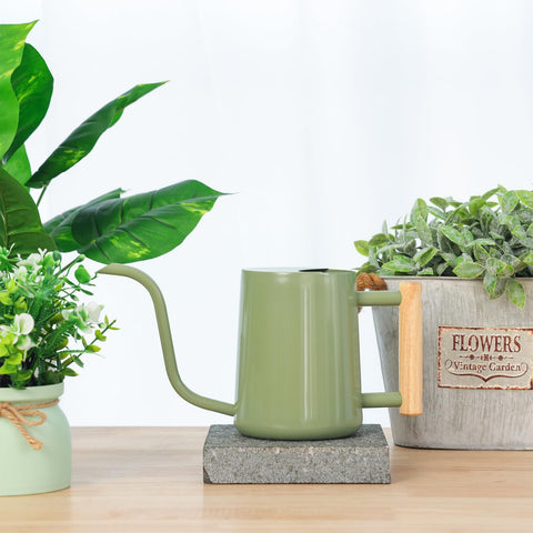 CEWOR Sage Green watering can with no-spill spout design for tidy watering