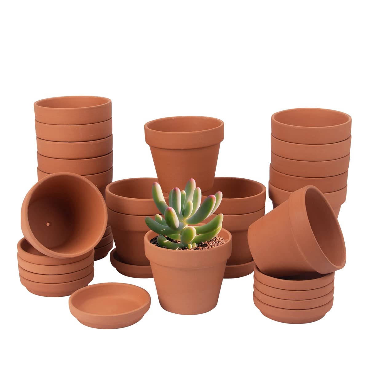 CFKJ 17-pack terracotta planter with saucer for organized plantings and water control