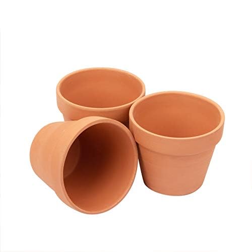 CFKJ 26-pack deskside decor for home or office use