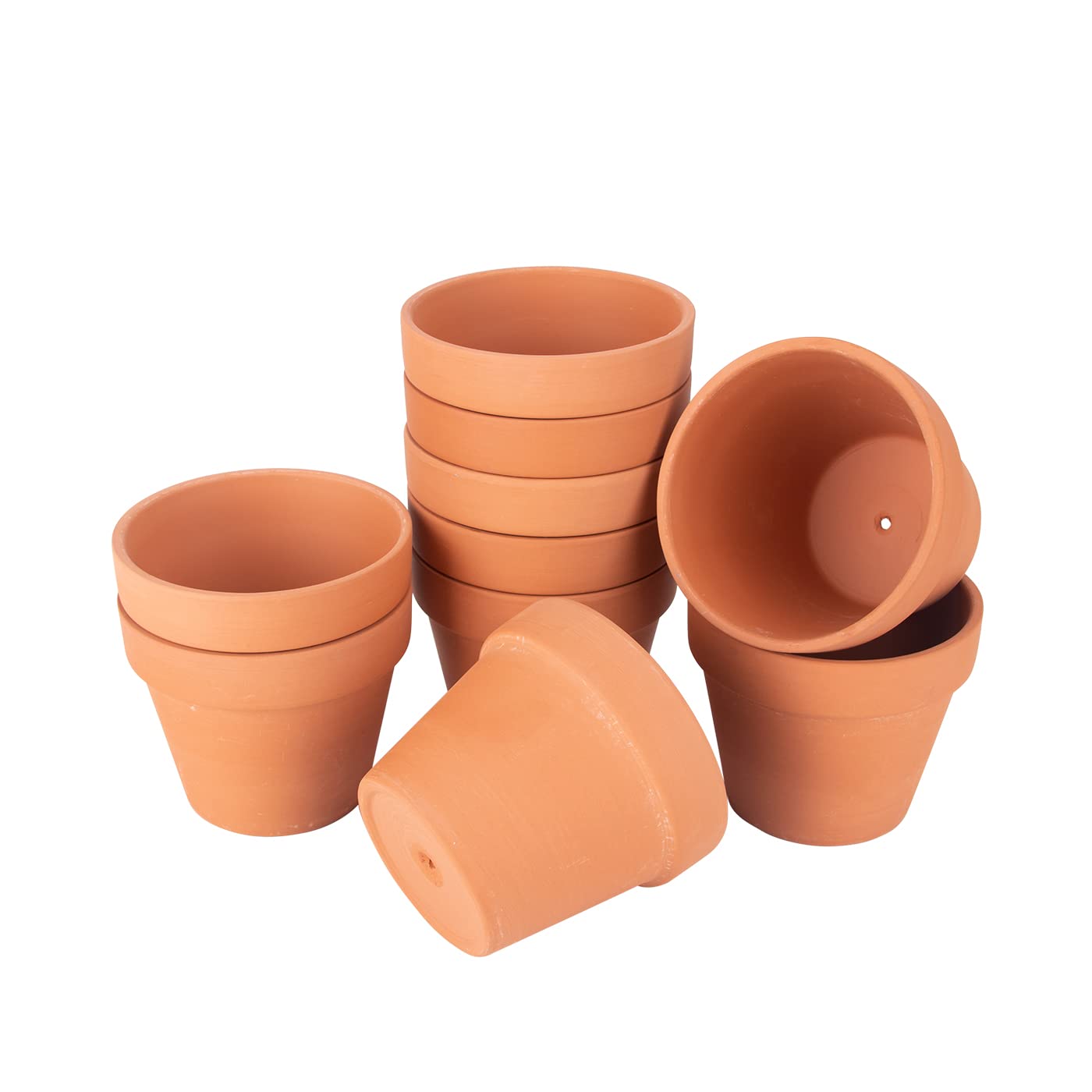 CFKJ 26-pack keeps herbs, succulents, and seedlings organized.