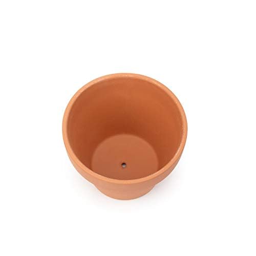 CFKJ 26-pack planters on windowsill suitable for cactus and succulents