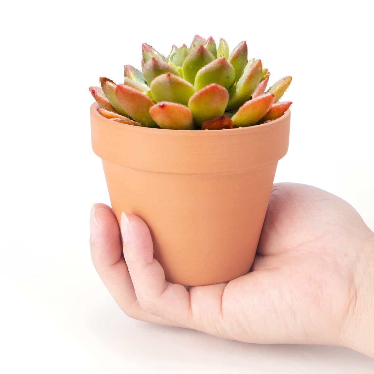 CFKJ terracotta with smooth finish ideal for painting or labeling.