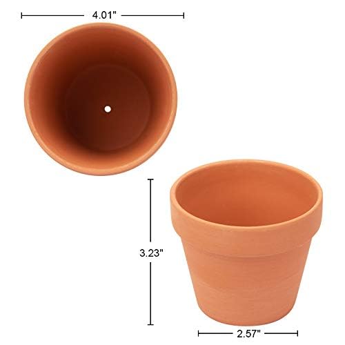 CFKJ 26-pack perfect for succulents or small cacti