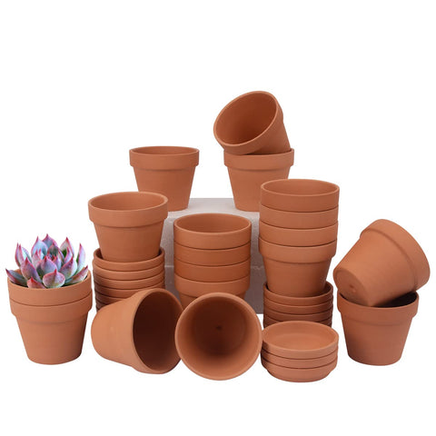 CFKJ paintable terracotta pot for labeling, great for personalized herb collections.