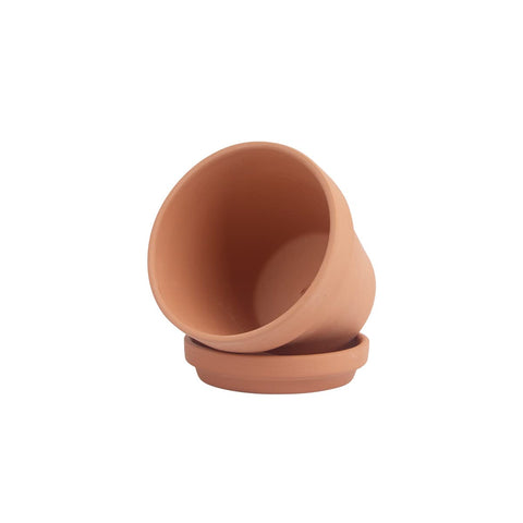 CFKJ terra-cotta pot with saucer, ready for easy planting and gifting.