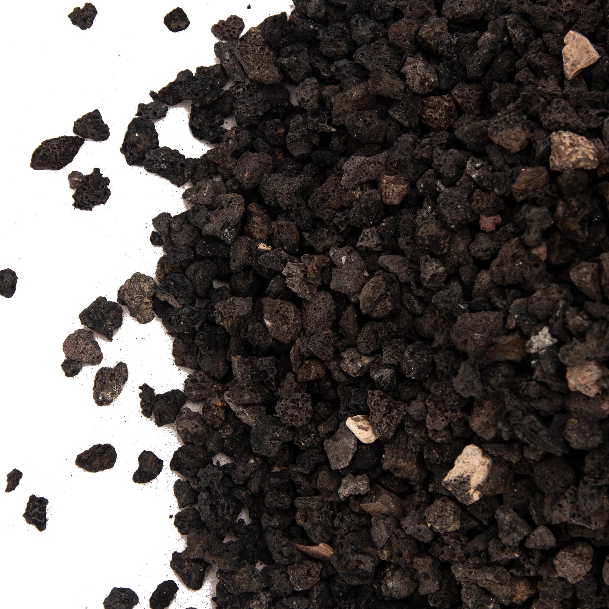 CFKJ volcanic stones add decorative texture to terrariums and pots.