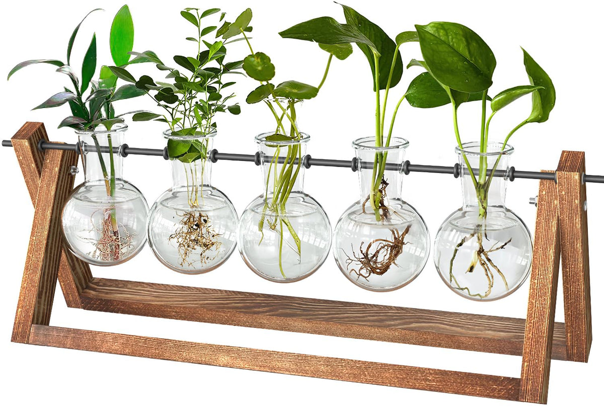 CFMOUR five-bulb vase propagation station on desk supports cuttings.
