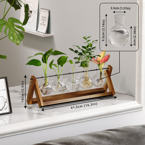CFMOUR propagation station suits small spaces like windowsills.