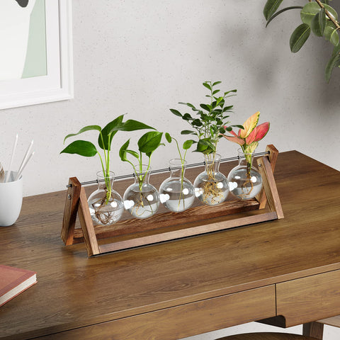 CFMOUR wooden stand with five bulbs showcases elegant indoor greenery.