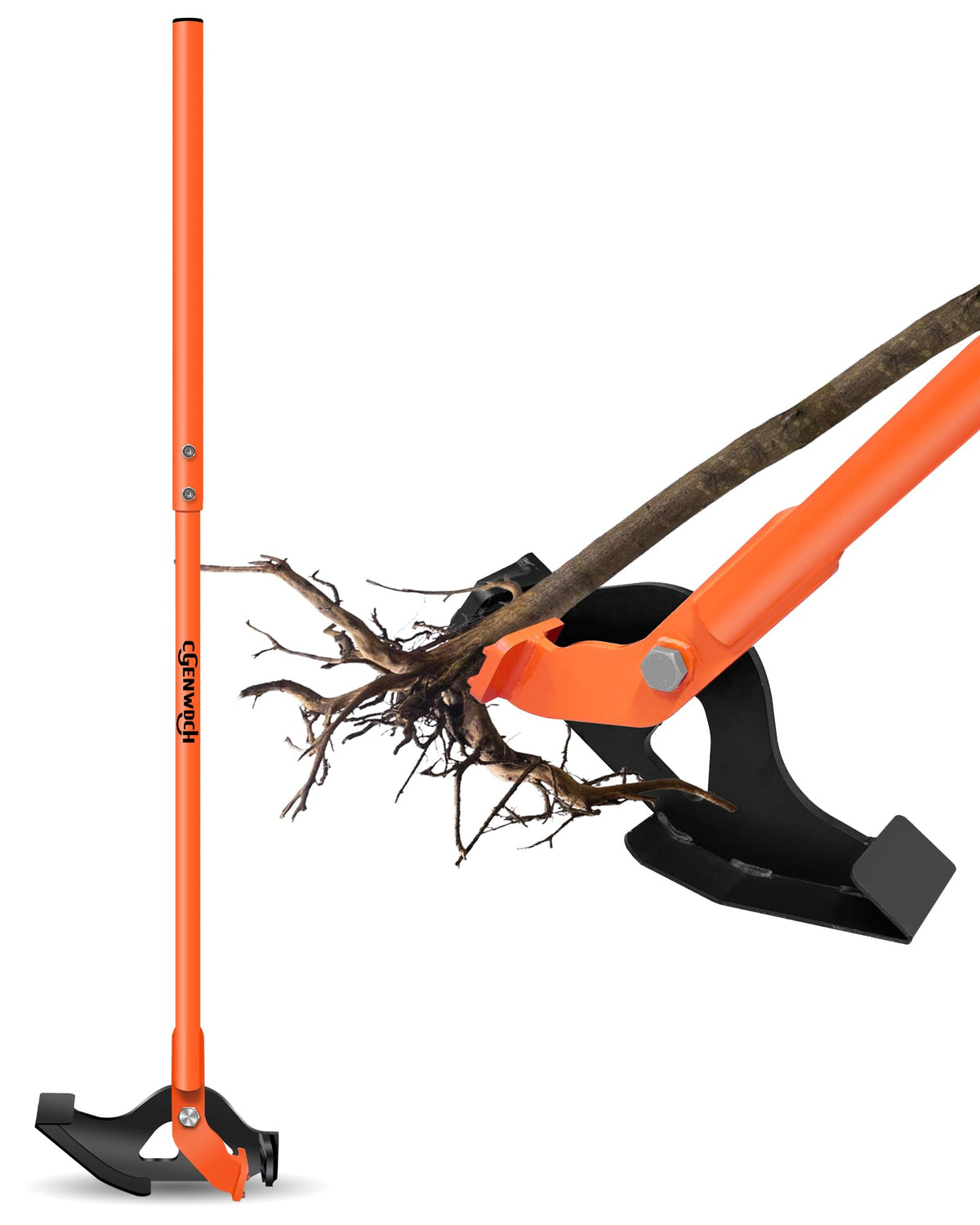 CGENWDCH sapling puller in action with easy lever leverage for one-person use.