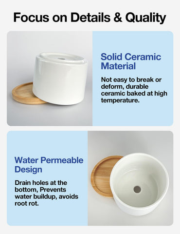 Cgvovgr Bamboo tray with pot to catch excess water and protect surfaces.