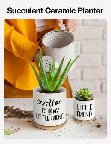 Cgvovgr Drain-hole pot with bamboo tray for drainage and neat display.