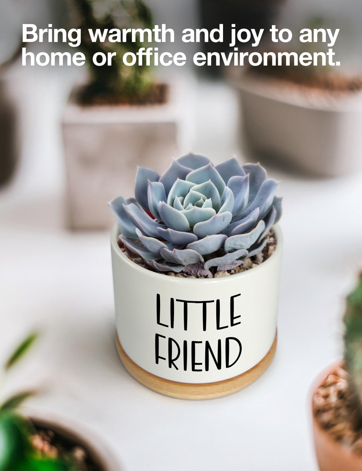 Cgvovgr Funny quotes design adds playful charm to any room.