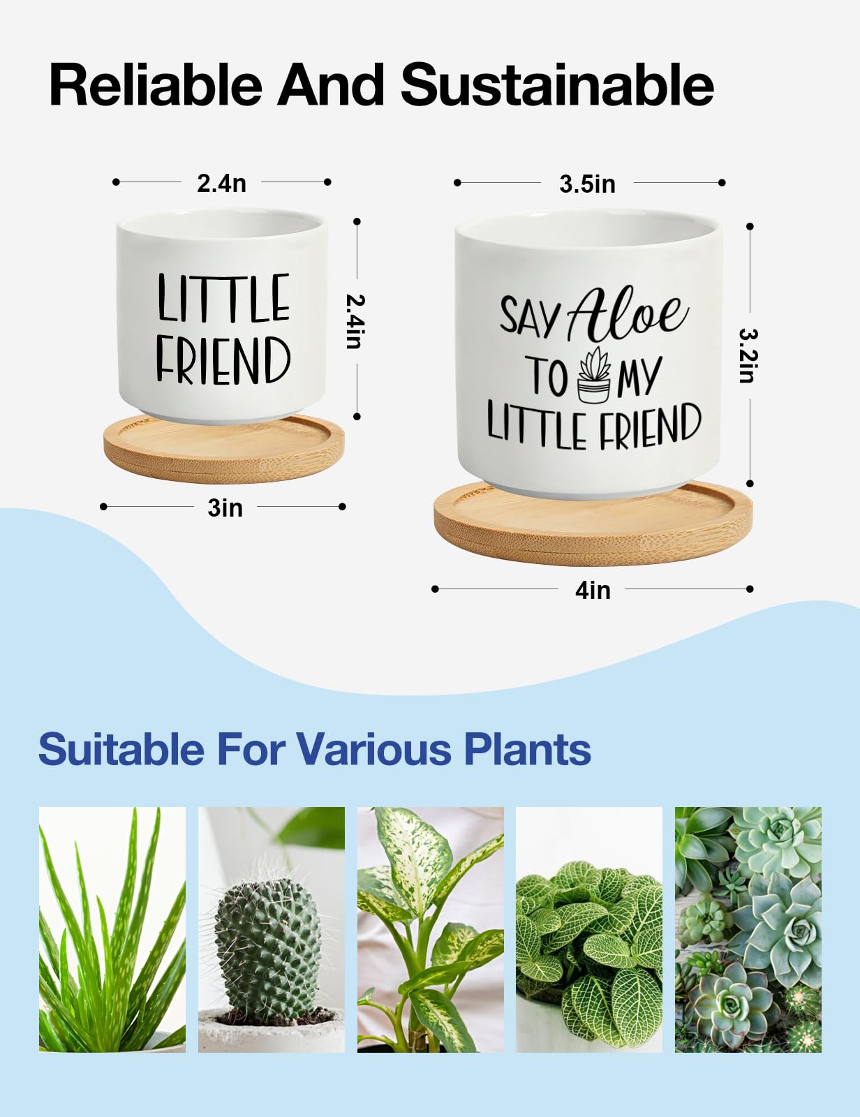 Cgvovgr Little Friend pot with tiny plant for desk or shelf decor.