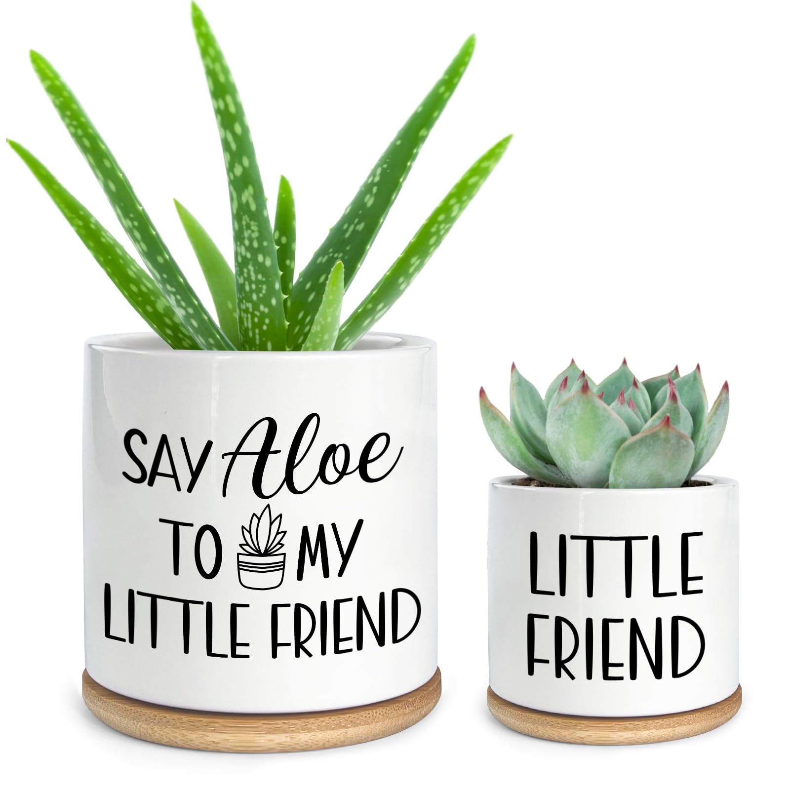 Cgvovgr Say Aloe to My Little Friend pot on a sunny windowsill, ideal for small succulents.