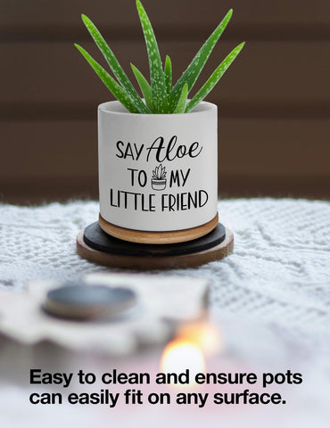Cgvovgr Windowsill decor pot set elevates small plant displays.