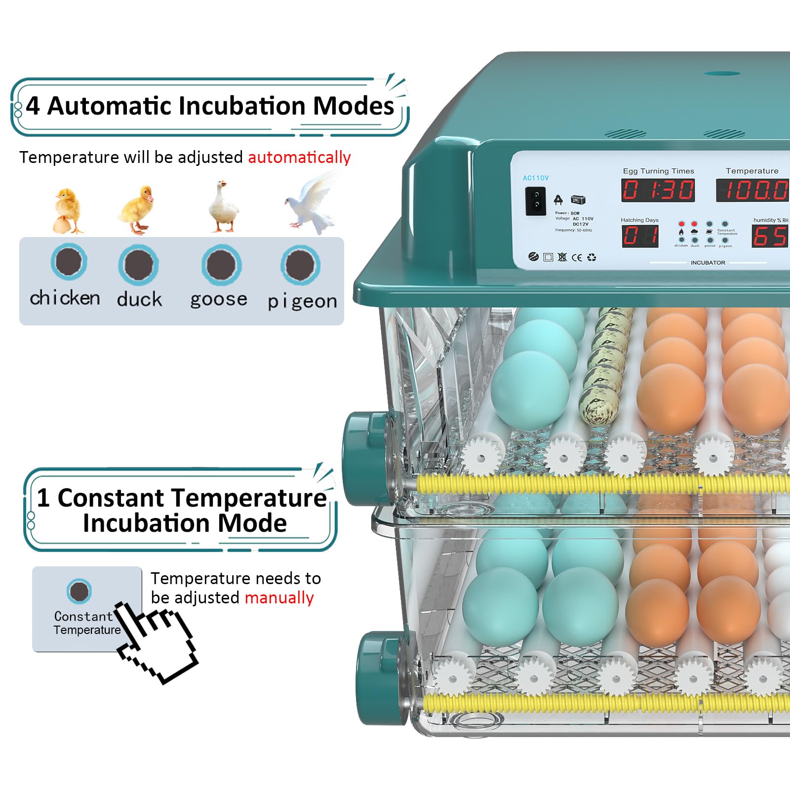 Chalixion 120 egg incubator side view with accessible controls and venting.