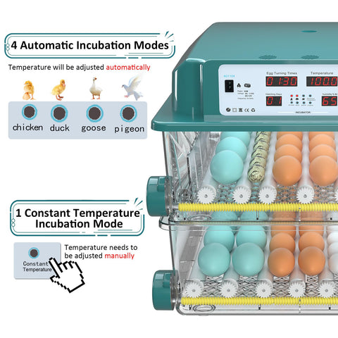 Chalixion 120 egg incubator side view with accessible controls and venting.