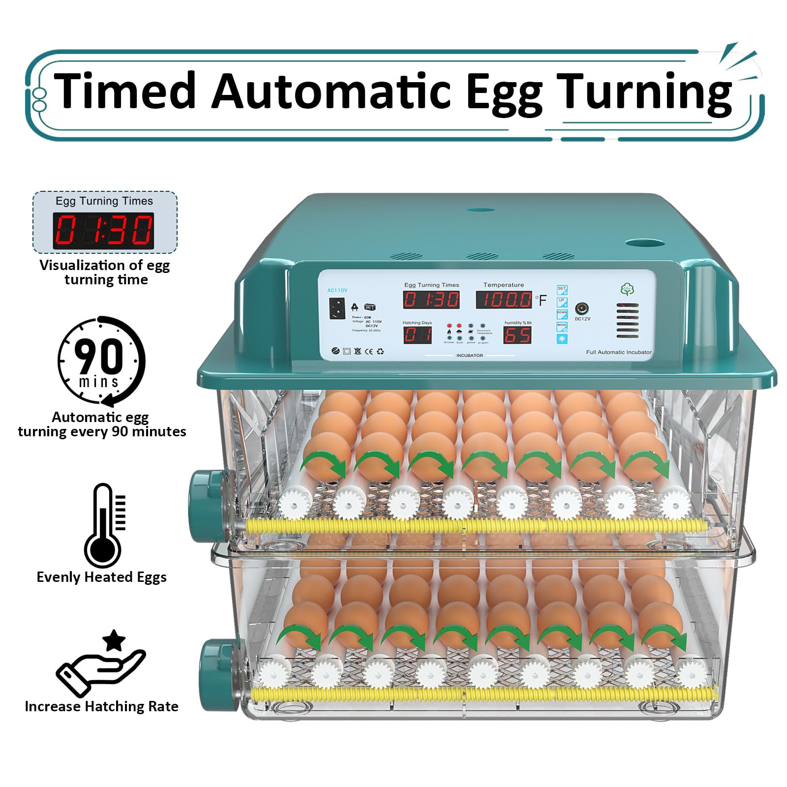 Chalixion adjustable roller system adapts spacing for different eggs.